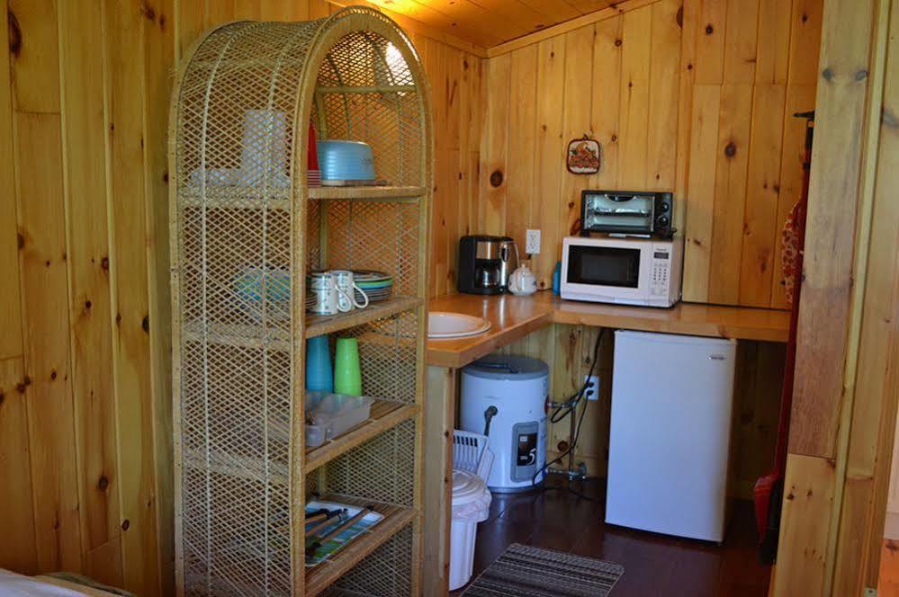 Birchland Cottages Iron Bridge Экстерьер фото